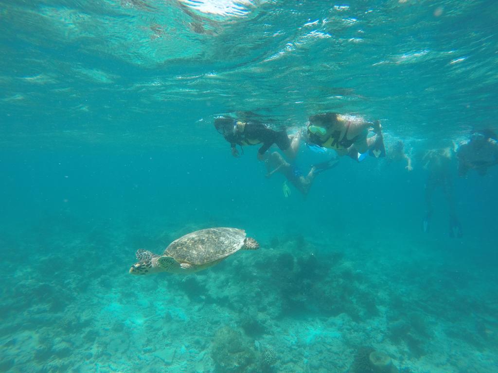 Luau Beach Inn, Maldives Fulidhoo Kültér fotó